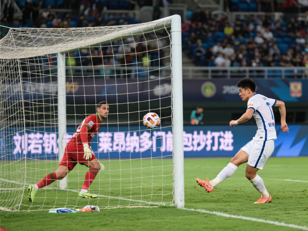 队伍和球员 队伍和球员